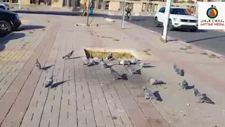 هكذا افتتح حي تلبرجت مهرجانه تلكثارت في دورته الثانية دندنها