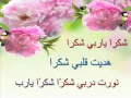 Download Lagu Shukran Ya Rabi Shukran Hadaita Qalbi Shukran