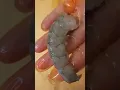 Download Lagu The Fastest, Easiest Way to Peel and Devein Shrimp Without Knife #shorts