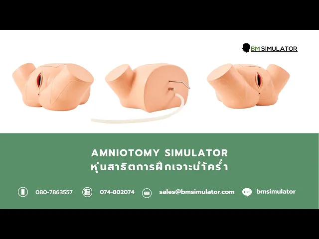 OG007 หุ่นฝึกการเจาะถุงน้ำคร่ำ Amniotomy Simulator