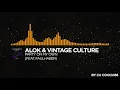 Alok & Vintage Culture - Party On My Own (feat  FAULHABER)