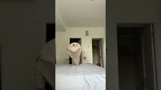 Billie Eilish Hoodie Transition 