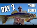 Day 2 Camping Fishing - I Figured Out This NEW Lake in Under 3 Hours