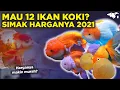 Download Lagu 12 JENIS IKAN MAS KOKI BESERTA HARGA DI TAHUN 2021