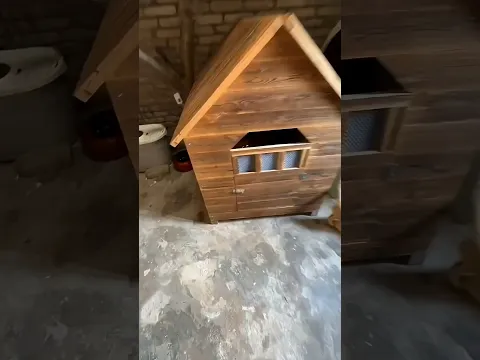 Cuando Leo recibió la responsabilidad de cuidar las luces 😂🐱💡