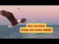Kata-kata bijak belajar dari seekor BURUNG