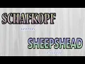 Schafkopf Sheepshead - How to Play Episode 1
