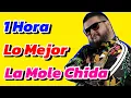 Lagu 1 Hora de lo Mejor de la Mole Chida en la Mesa Reñoña