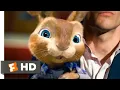 Download Lagu Hop - I Want Candy! | Fandango Family