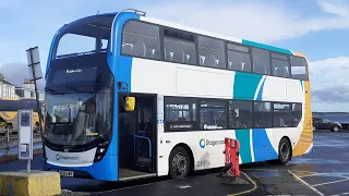                                                        دندنها