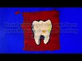 hey, nothing - Drywall (Lyrics)