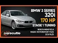 BMW 3 Series 320i 170 HP Stage 1 Tuning Bosch MEVD17 2 5 Magic Motorsport FLEX ECU Files