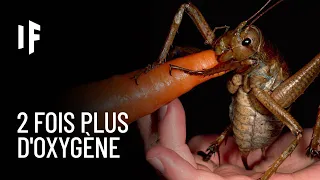 Et si le niveau d'oxygène de la Terre doublait ?