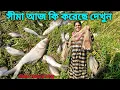 সীমা ডাঙ্গায় দাঁড়িয়ে হাচা করে পুকুর থেকে কত কৈ মাছ ধরল ।