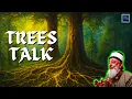 Download Lagu 2021: Islamic Spirituality - The Hidden Practice of Talking to Trees || Sheikh Imran Hosein