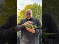 Download Lagu Love this little green dude ❤️ #sid #parrot #funnyanimals #birds #funnybirds