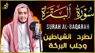 سورة البقرة كاملة  رقية للبيت  وعلاج للسحر   القارئ علاء عقل                    دندنها