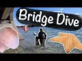 Diving at the Famous Blue Heron Bridge Octopus Eagle Ray and a Dive Site Map