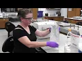 Quantifying Total Coliform and E coli Concentrations Using the IDEXX Quanti-Tray 2000 Method