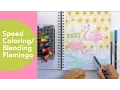 Speed Coloring How to draw a Flamingo Tombow Blending Marker Time lapse drawings Sketchbook