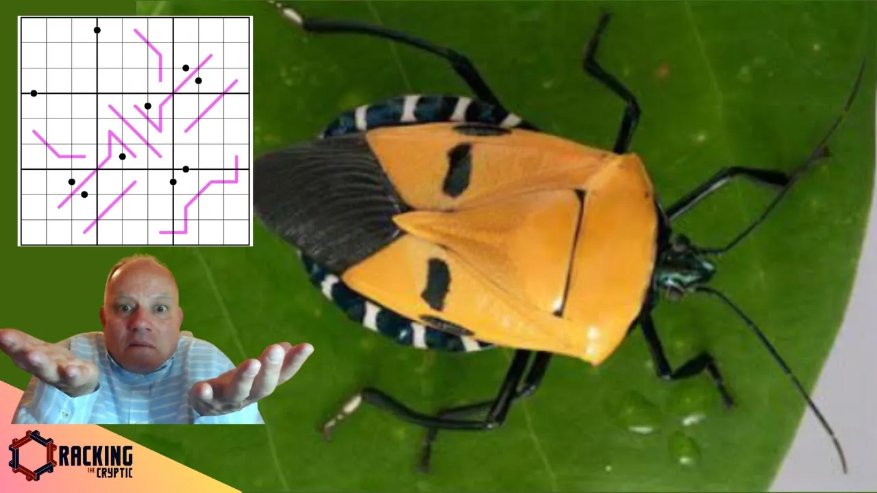 Getting to Grips with a Bug