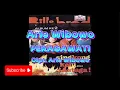 Peragawati - Arie Wibowo/Bill Brod (Video Lirik)