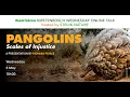 Download Lagu 'Pangolins Scales of Injustice' by Richard Peirce