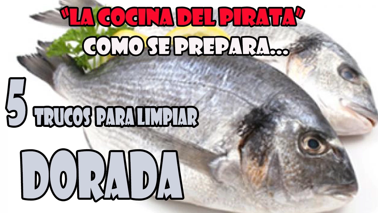 COMO LIMPIAR UNA DORADA 5 TRUCOS