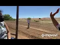 Three Nun Farm Brentwood - Cherry Picking 2021