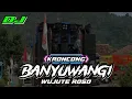 🎧 DJ BANYUWANGI KRONCONG STYLE _ WUJUTE ROSO