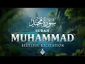 Download Lagu Surah Muhammad سورة محمد | A Heartwarming Recitation to Renew Your Faith | Al-Taqwa TV