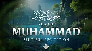 Surah Muhammad سورة محمد A Heartwarming Recitation To Renew Your Faith Al Taqwa TV 