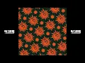 8 - Feid - Desquite (Dj Osmii Extended)