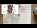 Anatomy Physiology Ch 1 Quick Review I Nursing Students