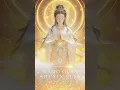 Download Lagu Need Calm Today? Repeat “Namo Guan Shi Yin Pusa” 🕊️