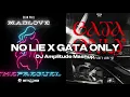 NO LIE X LUSH LIFE (Sean Pual, Dua Lipa, Floyymenor, Cris MJ) [DJ Amplitude Mashup]