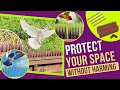 Best Bird Spikes For Small Birds - Protecting Your Space Without Harm