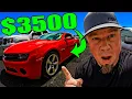 CRAZY PRICES At Car Auction Dealers IN TROUBLE