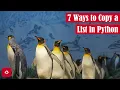 7 Ways to Copy a List in Python Featuring The Pittsburgh Penguins