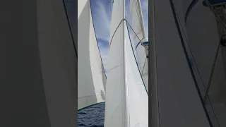 Full sails up and gliding along #shorts