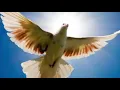 Download Lagu Martina Osorio..ay situaciones difíciles#**