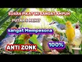 Download Lagu SUARA PIKAT SEMUA BURCIL PALING AMPUH ANTI ZONK SANGAT MEMPESONA MP3 PUTAR SEKALI LANGSUNG NYAUT