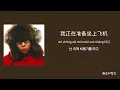去北极忘记你(거북극망지니/북극에 가서 너를 잊을 거야)-Gareth.T-가사/병음/번역