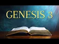 Genesis 3 - Bible NIV Read Along with Captions