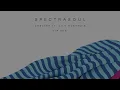 SpectraSoul - Shelter ft. Lily McKenzie (VIP Mix)