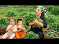 Download Lagu Harvesting 1000kg+ giant wild lettuce to sell at the market, cooking tasty chicken for my children