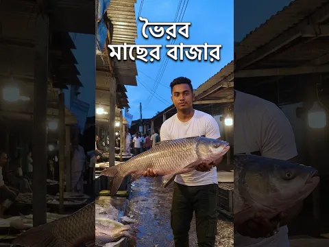 ভৈরব মাছের বাজার #bangladocumentary #deshbartatv #parthivmamun #shorts #fishing