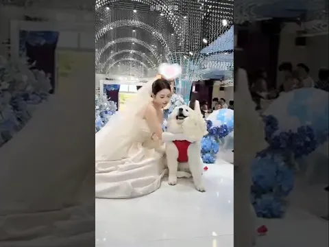 Girl Took Her Dog With Her 😱
