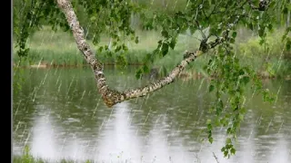 حالات واتس اب عن الشتاء بصوت فيروز ستعيش بجو رومنسي جميل 