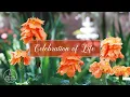 Clifford Hart Wright Memorial Service February 16 2026